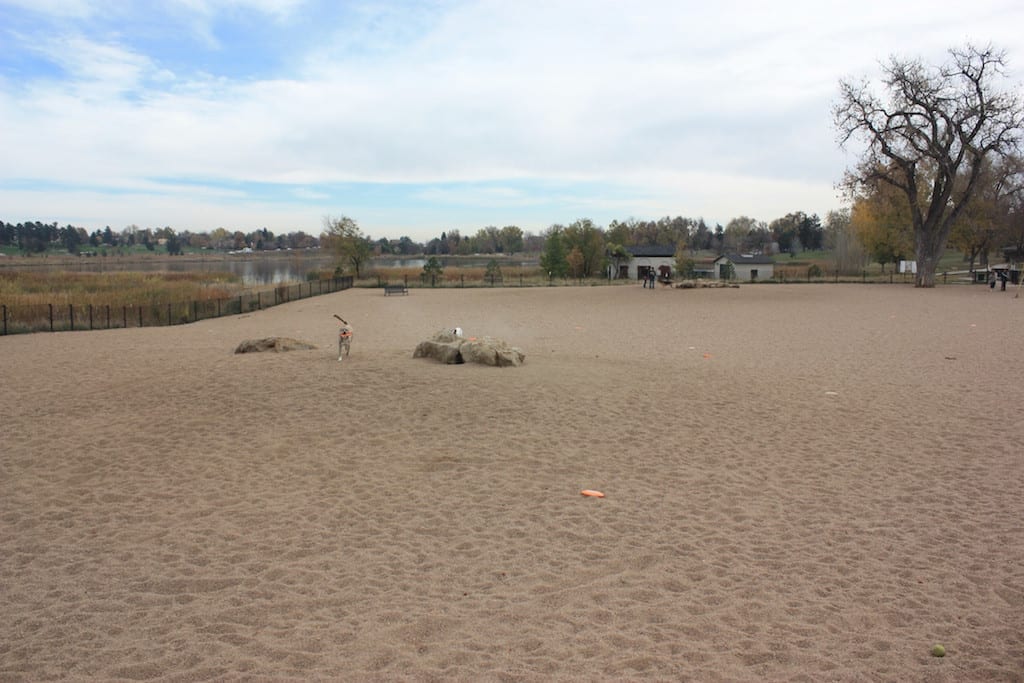 Berkeley Lake Dog Park dog park