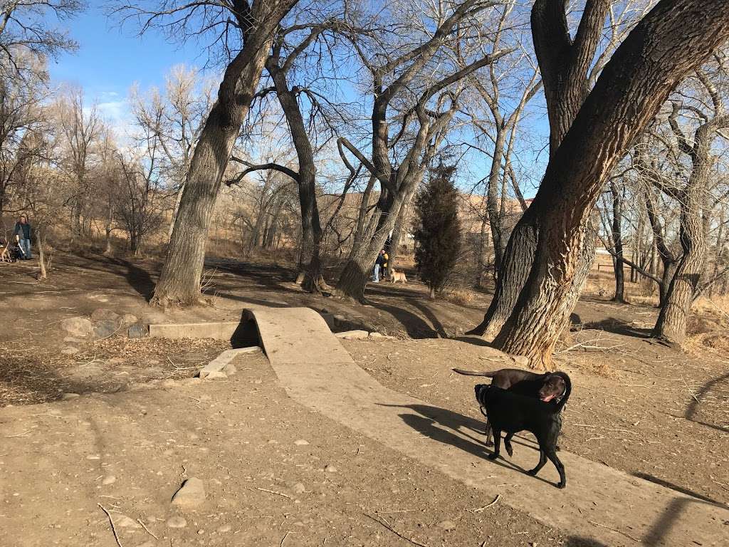 Tony Grampsas Dog Park dog park